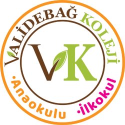 Validebağ Koleji logosu